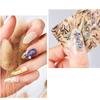 Abalone Shell Slice Nail Art Decoration 3D Nail Sticker Gradient Mermaid Flakes DIY Nail Decals