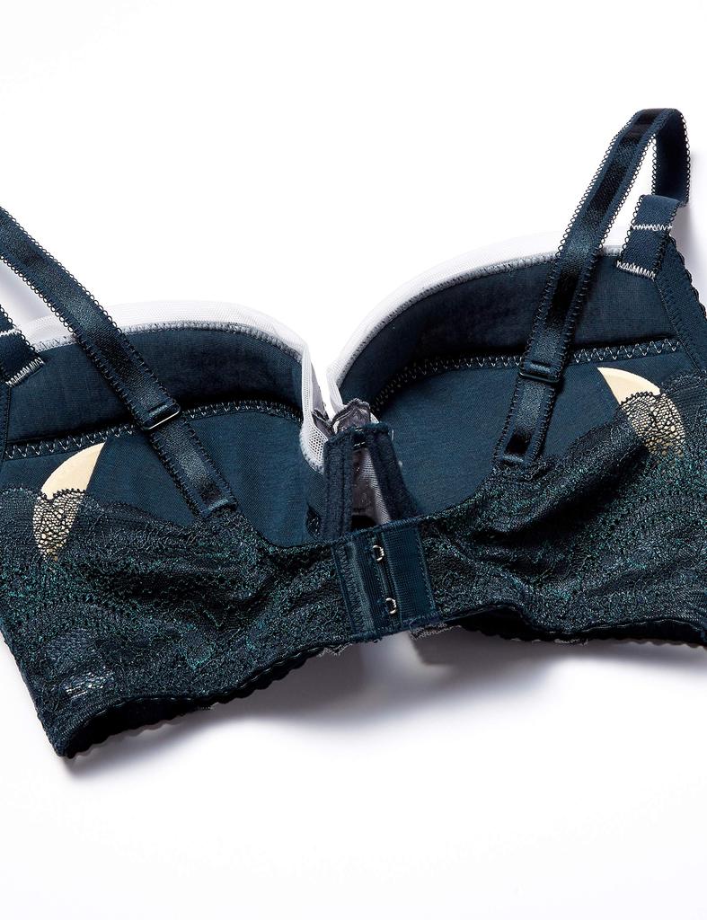 Bra Cup Lesiage PB4050 Grayish Blue Japan E75 to Japanese size [Wing/Wacoal] [4050 Series] 3/4 Women's (equivalent 2L)