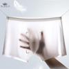 3D Men's Seamless Transparent Underwear Men's Ice Silk Summer Boxer Briefs Underpants