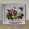[USED] Mrs. GREEN APPLE Album "10