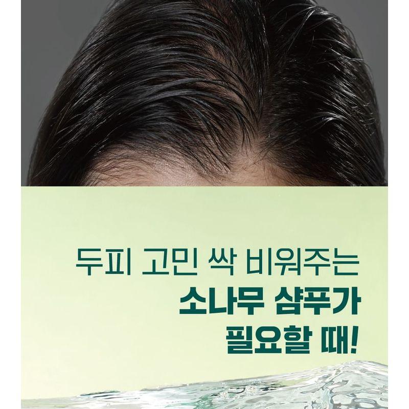 ROUND LAB Pine Calming Cica Shampoo