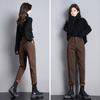 Women's Fleece-Lined Jeans High-Waist Slim Plus Velvet Harem Jeans Autumn and Winter Stretch Skinny Jeans