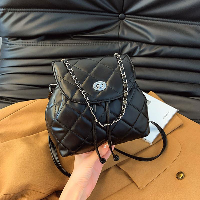Stylish 2024 Spring Season Black Quilted Chain Strap Shoulder Bag For Casual Wear