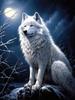 5D Wolf Diamond Painting Art New Collection Moon Mountain Mosaic Art Rhinestone Embroidery Animals Decor