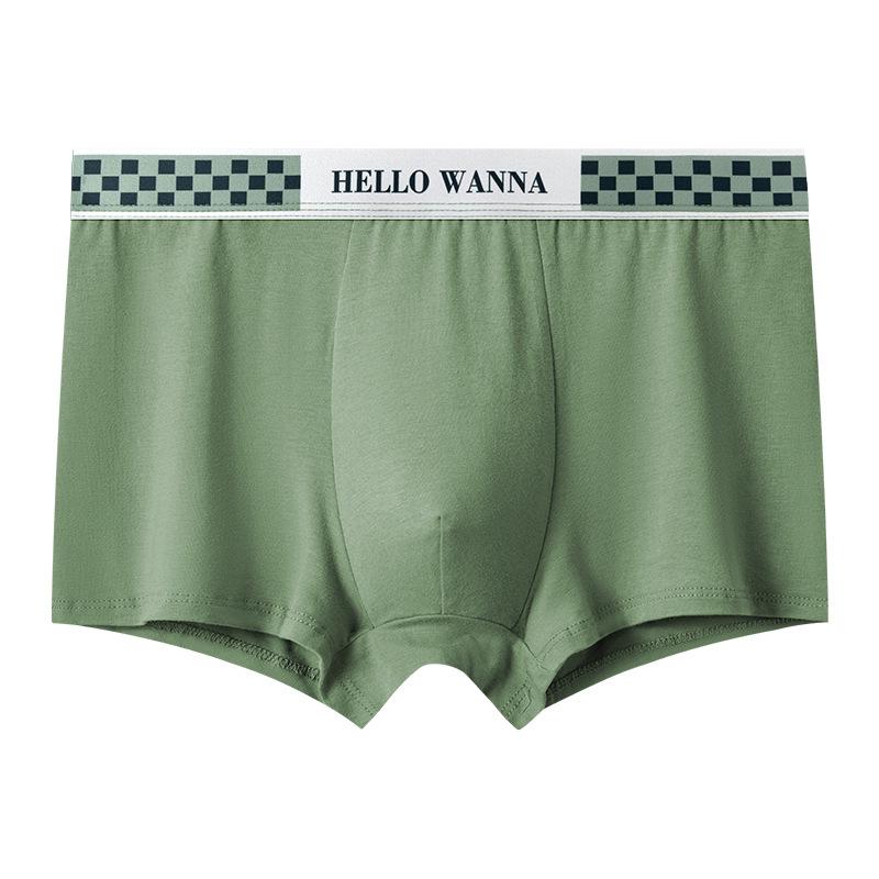 Summer Thin Men's Underwear Breathable Letter Waist Flat Angle Pants for Men