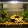 Turtle Basking Platform Resin Craft Turtle Sunning Dock Rock Hideout Cave Multi-Level Design Pet Habitat Decor