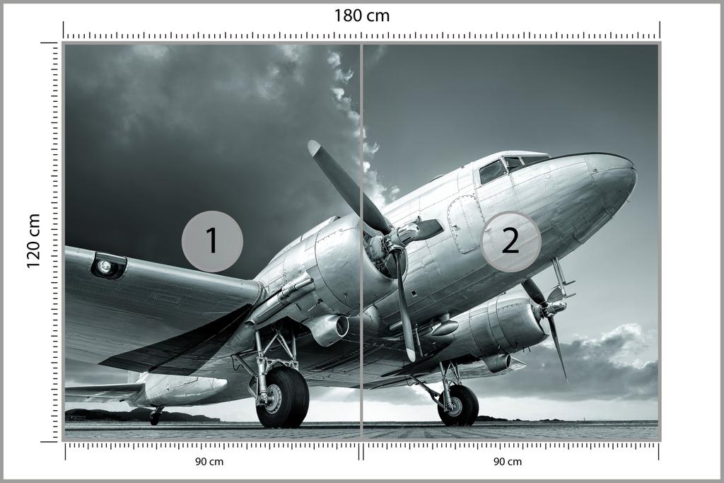 Photomural Propeller Airplane Washable Fleece 180x120