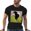 Emo Horse Tshirt Unisex Tshirt T Shirts For Unisex Graphic Funny T Shirt Unisex Designer Tshirt