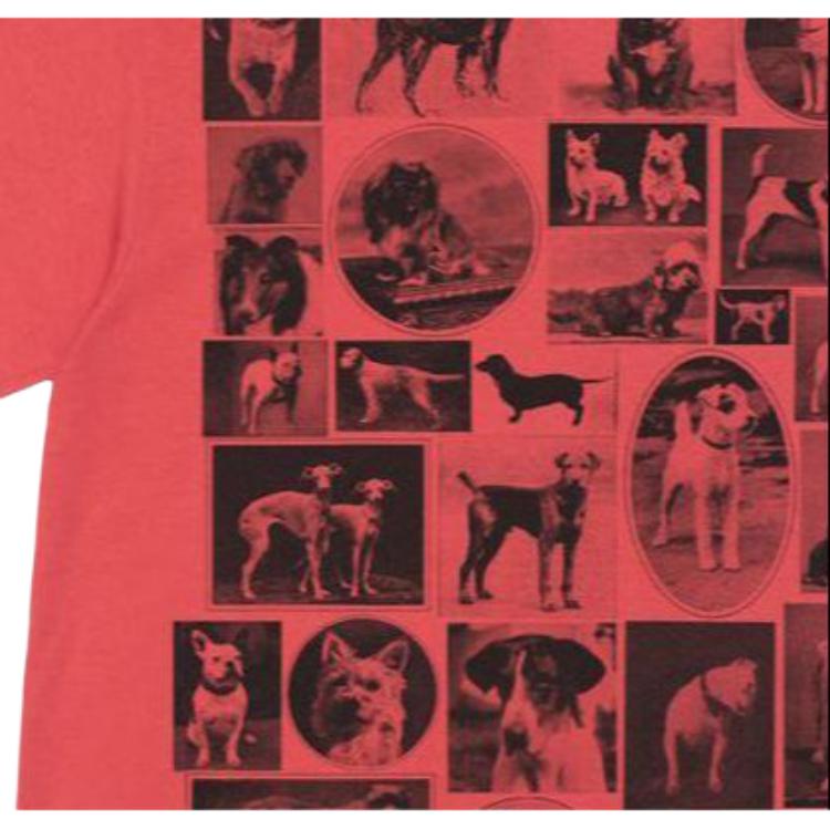 Stussy Kittens Tee 1905017