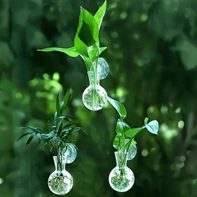 4pcs/set Transparent Wall Mounted Vase with Suction Cups Mini Flower Pot  Living Room