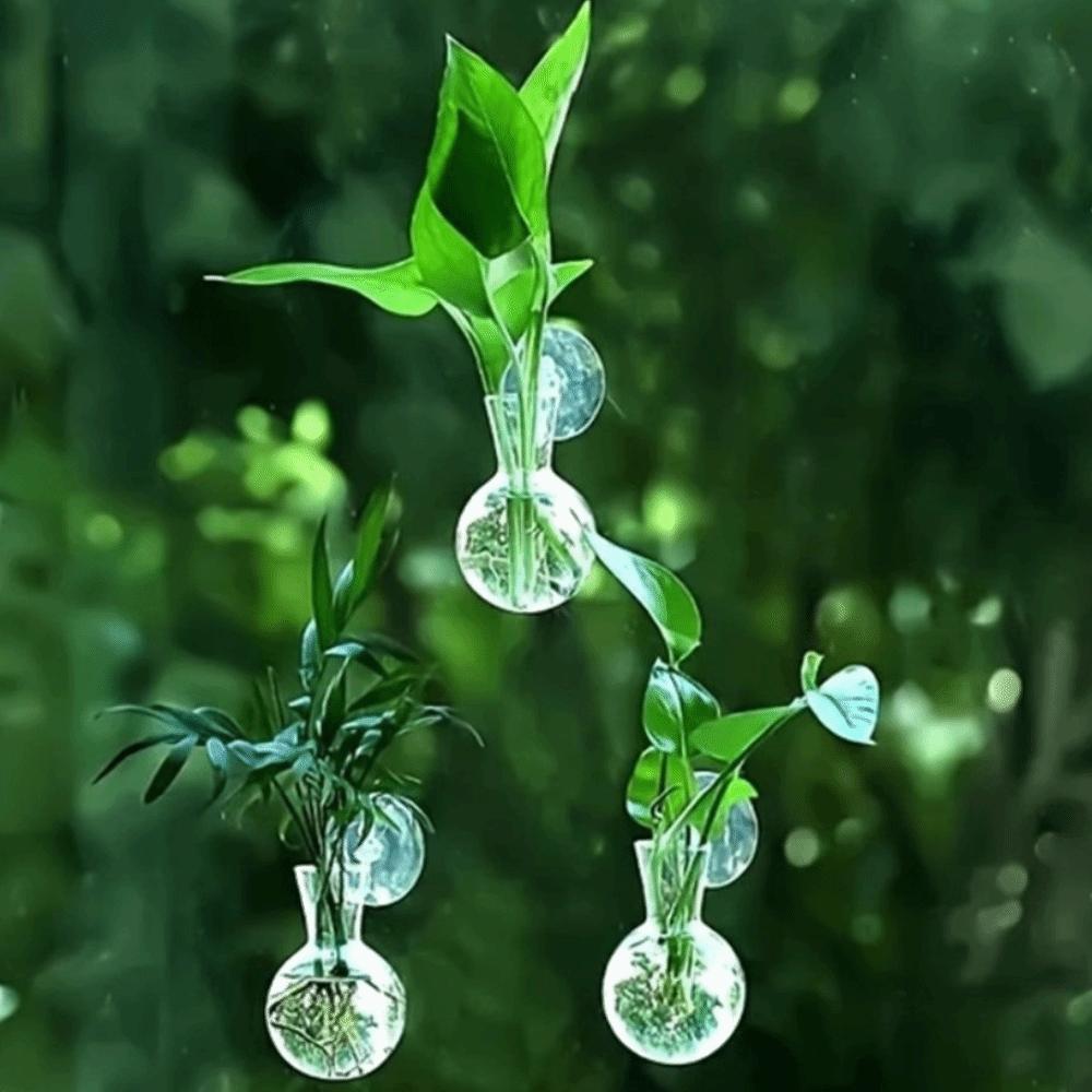 4pcs/set Self-Watering Plant Hydroponic Vase Transparent Hanging Fish Tank  Living Room