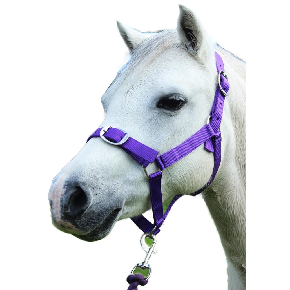 Gallop Horse Headcollar and Leadrope Set
