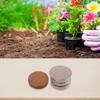 Coconut Fiber Soil Blocks for Indoor Plants Moisture Retaining Planting Medium