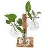 Innovative Hydroponic Vase with Wooden Stand Transparent Desktop Flower Vase for Home