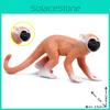 Kids Saimiri Sciureus Wildlife Monkey Figurine Model Toy For Educational Play