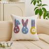 1PC LOZUJOJU Modern Cute Cartoon Design Plush Embroidered Pillowcase Children's Cushion Cover for Sofa Living Room Bedroom Home Decor