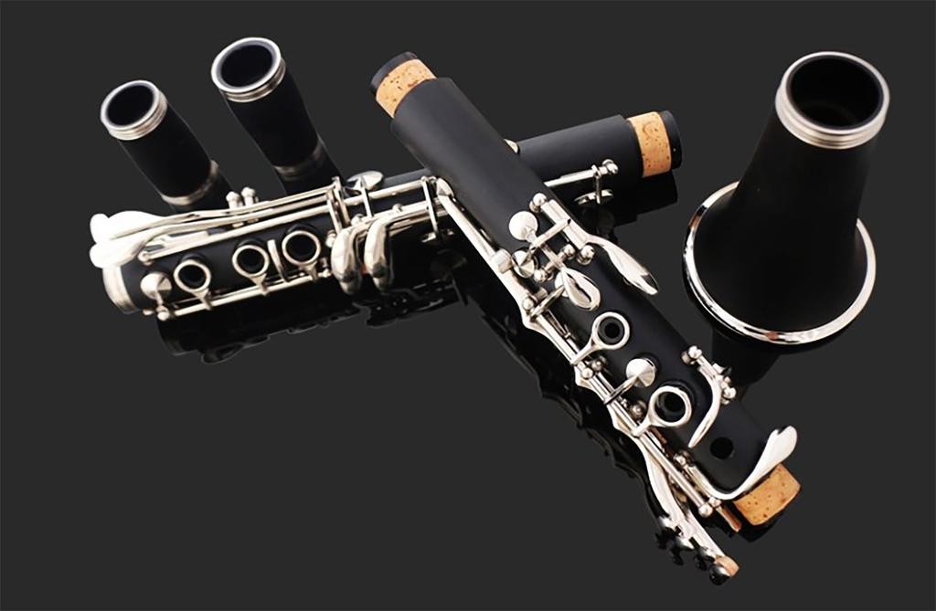 Clarinet 17 ABS Resin Wind Instrument Easy to Care B, Keys, Nickel-Plated, Body, Beginner's Set, (F-300 Performance)