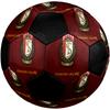 SIZE 5 Standard Liège Soccer Ball Colorful All Ages Machine Stitched PVC Competition Ready Durable High-Bounce