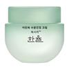Hanyul Artemisia Calming Moisture Cream, 55ml