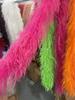 DIY Colorful Ostrich Feather Boa 6Ply Fluffy Shawl 0.5/1/2/3/4 Meter for Wedding Dress Carnival Performance Costume Party Decoration
