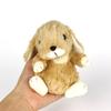 Plush Toy (Rabbit) Lop-Eared Small Beige