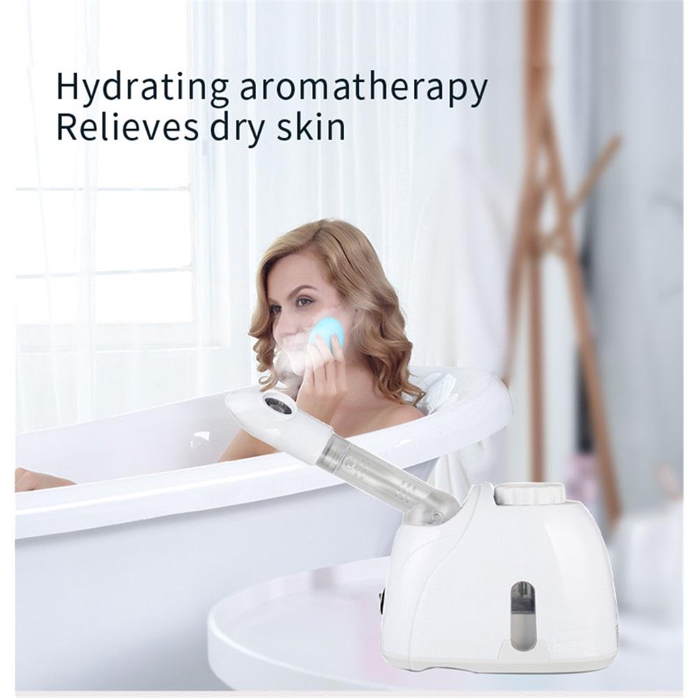 Ozone Facial Steamer Warm Mist Humidifier For Face Deep Cleaning Vaporizer Sprayer Salon Home Spa Skin Care Whitening
