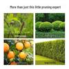 Deli Garden Hedge Shears