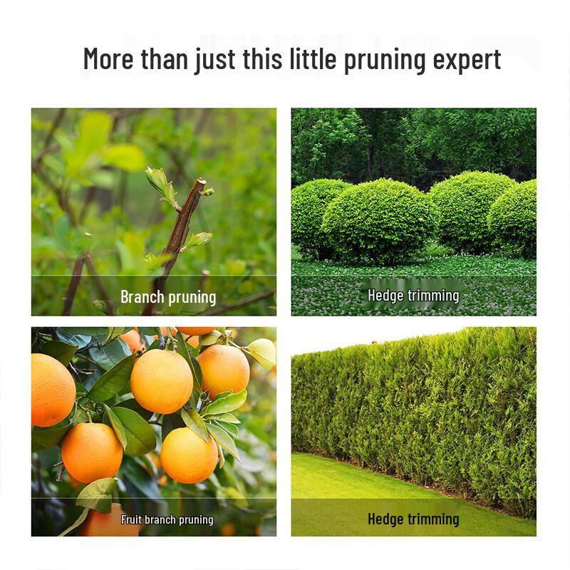 Deli Garden Hedge Shears