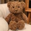 Kawaii Bear Plush Toy 30/45cm Soft Stuffed Animal Teddy Bear Pillow for Kids Girls Christmas Birthday Gift Home Decor