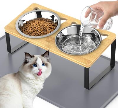 Cat Bowl Holder with Food Pad Stainless Steel Double Bowl Oblique Mouth Anti-vomiting Protection Cervical Spine Dog Food Basin