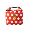 Large Capacity Foldable Insulated Lunch Bag for Freshness Preservation