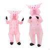 Pig Costume for Festive Gatherings