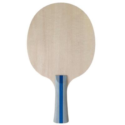 For Beginners Table Tennis Racket Sport Accessories