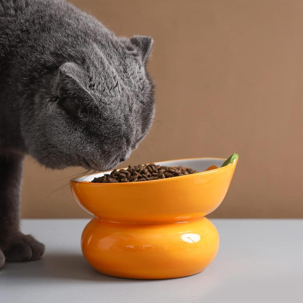 Yeexoxow Cuenco Elevado De Cerámica Para Gatos Cuenco Elevado Para Comida De Gatos Para Gatos De Interior Antivómitos Y