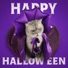Cloth Pet Witch Cloak Soft Dog Witch Costume Funny Halloween Pet Cloak  Decorative