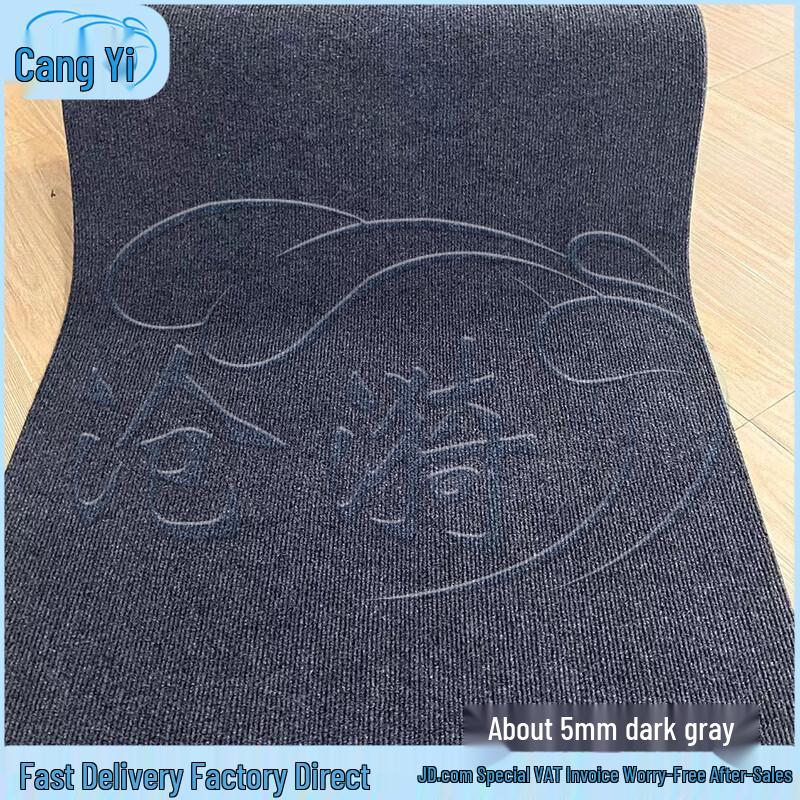 Cangyi Thickened Absorbent Non-Slip Doormat