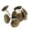 Table Gift Box Jewelry  Tool Pushpins Upholstery Nail Furniture Hardware Sofa Decorative Tacks