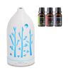 Ultrasonic Aromatherapy Diffuser with Auto Shut Off, 3 Essential Oils, Quiet for Home, Office & Spa