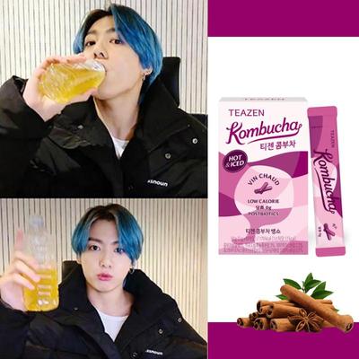 Teazen Kombucha Vin Chaud Teepulver 5g (10 Optionen)