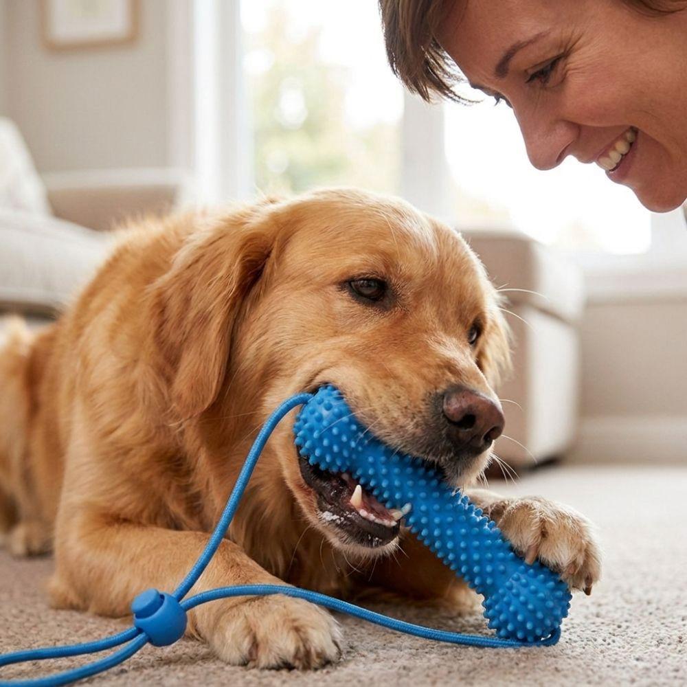 Anti-choking Dog Teething Stick Bite-Resistant Interactive Dog Toy Dog Chew Stick Teeth Cleaning