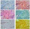 Embroidered 5mm Sequin Mesh Fabric for Wedding Dress, Skirt, Bag, and Shiny Decor