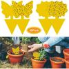 Menaj și curățenie – Împotriva insectelor