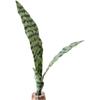 Artificial Snake Plant Decoration Decorating Supplies Photography Props Green Faux Greenery Versatile Application
