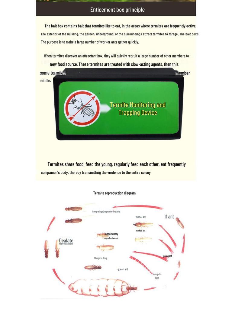 Indoor Termite Bait Box - Effective White Ant Control Treatment