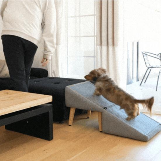Split Stool Dog Ramp 2-in-1 Folding Pet Ramp Stair And Footstool for Couch Bed 13.8" H Pet Step for Large Small Dogs