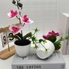 Simulated Sand Phalaenopsis Bonsai Green Plants For Home Wedding Decoration