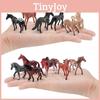 World Famous Horse Model Set Pvc Static Figurines Collectors Animal Display For Model Enthusiasts