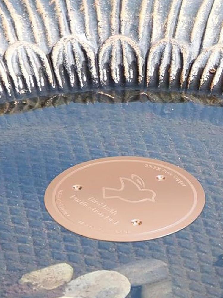 Copper Disk for Bird Bath Bird Bath Cleaner Feeder Accessories Triple-Point Support Purifier Disc for Water Bowl All-Season