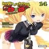 High School DxD Vol. 14 Light Novel by MiyamaZero MiyamaZero... 9781975350420