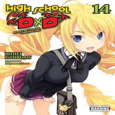 High School DxD Vol. 14 Light Novel by MiyamaZero MiyamaZero Paperback Book 9781975350420